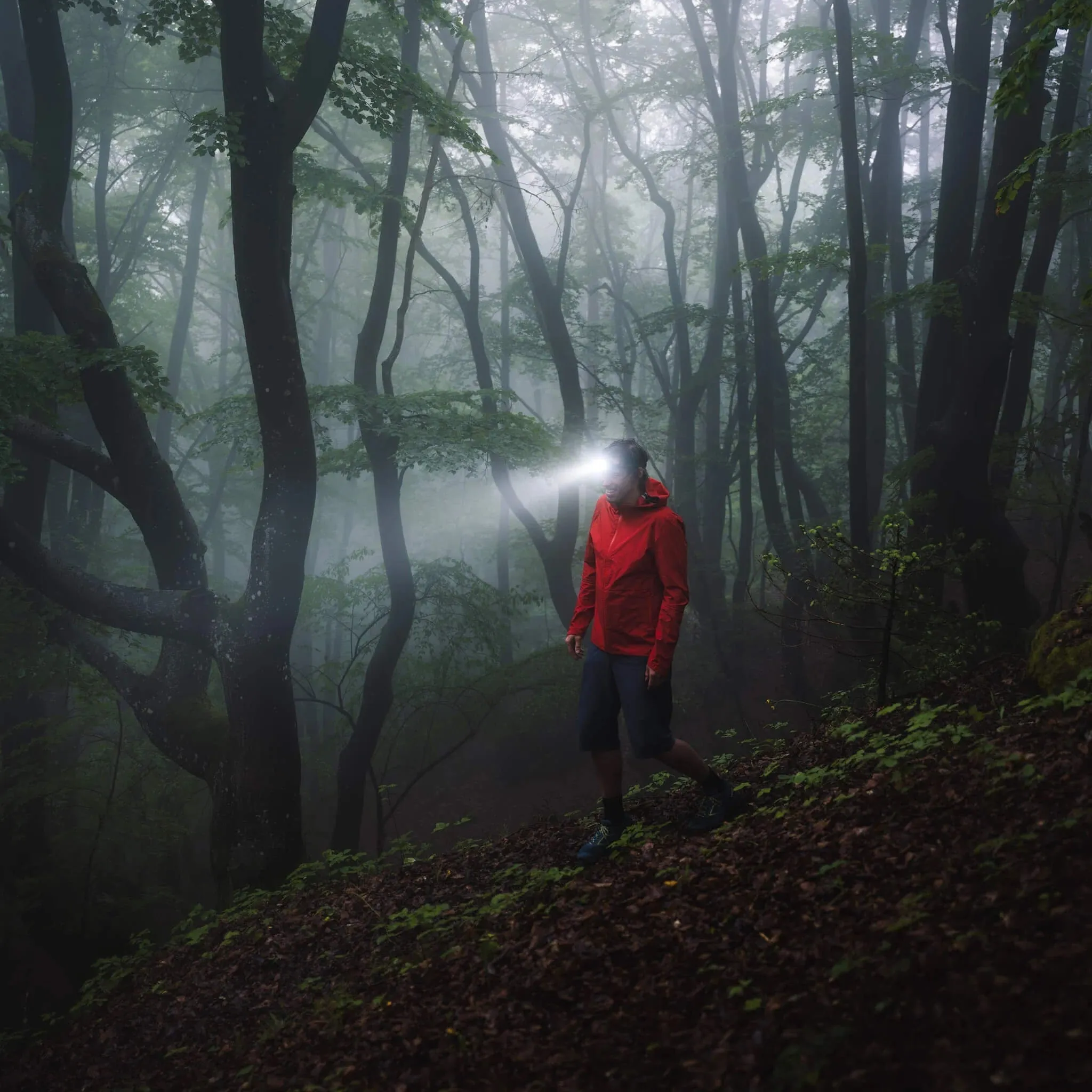 LED Lenser HF8R Core Rechargeable Headlamp